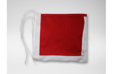 DANNEBROG TIL GADESTANG