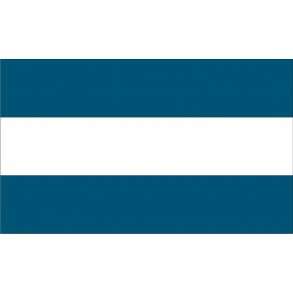 BORDFLAG EL SALVADOR STR.40