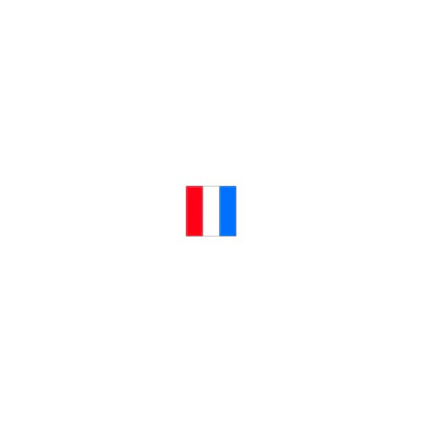 SIGNALFLAG T  50x40 CM.