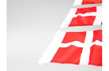 Gæsteflag