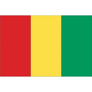 GUINEA 150x100 CM.