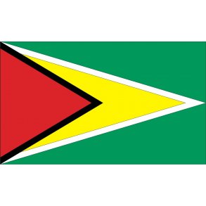GUYANA 100x60 CM.