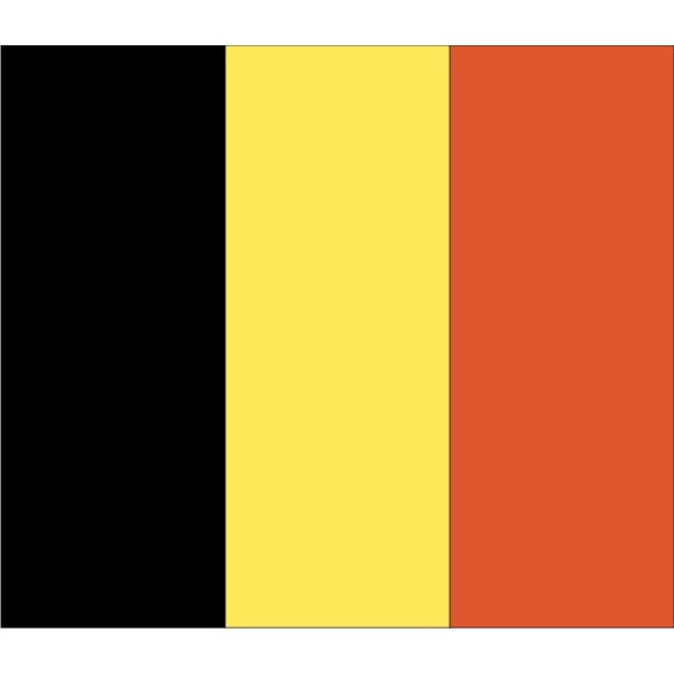 PAPIRFLAG 20X27, BELGIEN