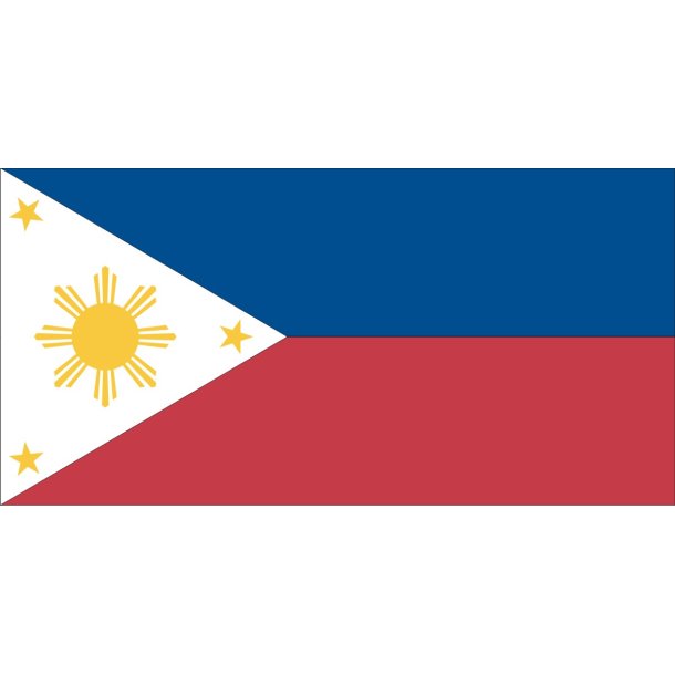 PAPIRFLAG 20X27  FILIPPINERNE