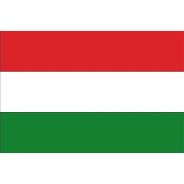 PAPIRFLAG 20X27, UNGARN