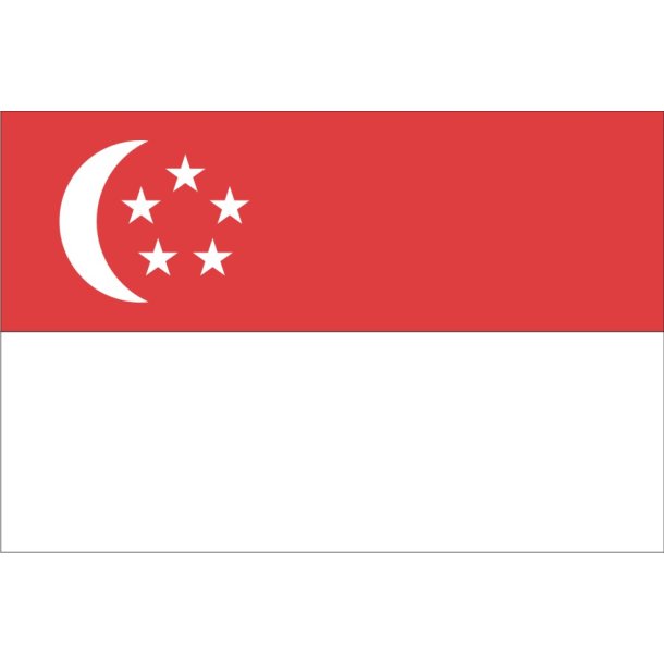 SINGAPORE 100x67 CM.