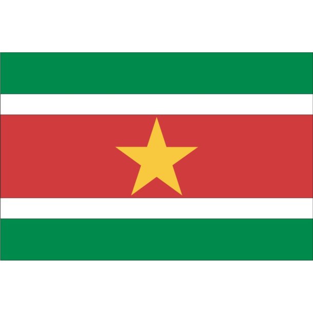 SURINAME 100x67 CM.