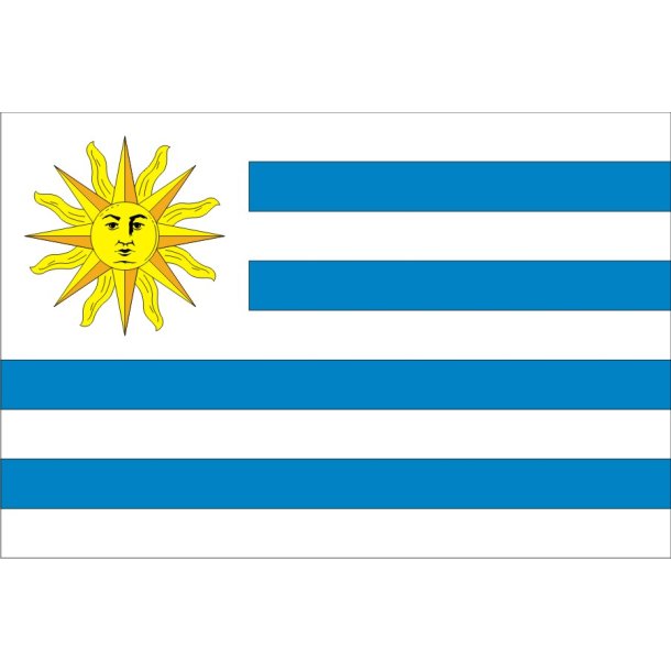 URUGUAY 100x67 CM.