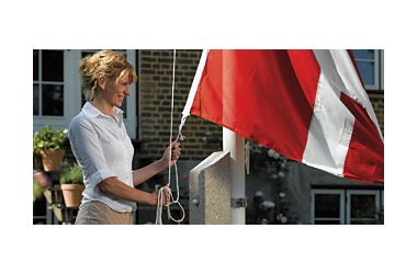 Fiberstang til mont. på støtte